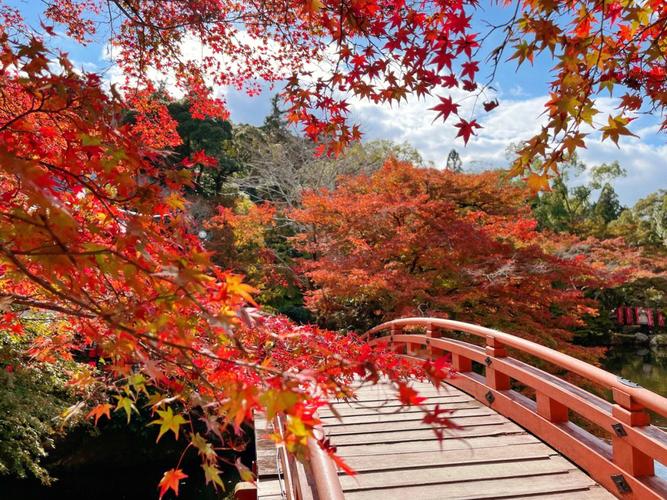 京都一般枫叶在什么时候?日本京都天气情况-图2 京都一般枫叶在什么时候?日本京都天气情况-图2