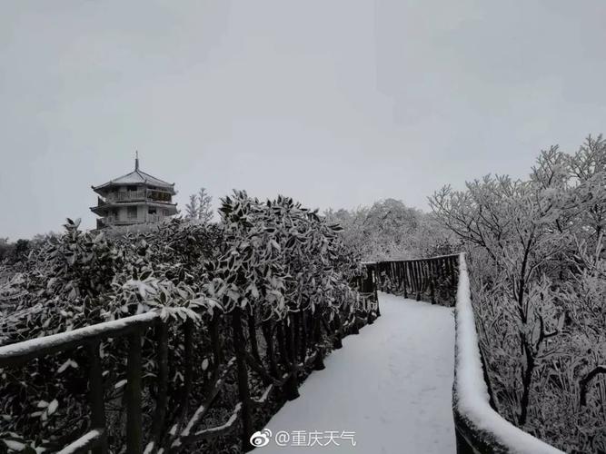 重庆南山今天下雪了吗?南山的天气情况-图3 重庆南山今天下雪了吗?南山的天气情况-图3