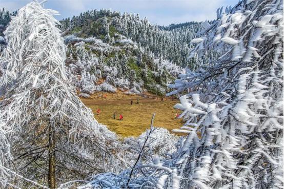 武隆下雪了吗?重庆武隆天气情况-图3 武隆下雪了吗?重庆武隆天气情况-图3