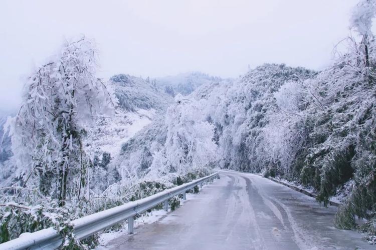 从化五指山下雪了吗？预计从化天气情况