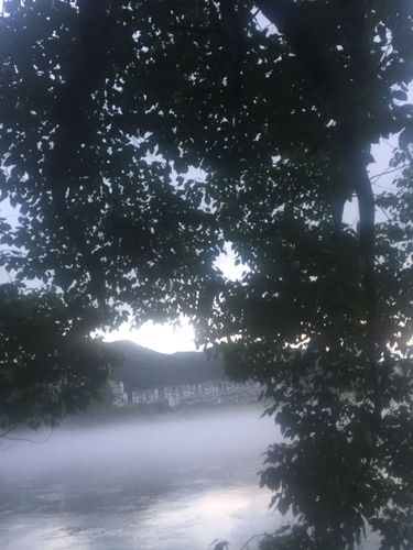 建德一月一日会下雨吗?建德整年天气情况-图3 建德一月一日会下雨吗?建德整年天气情况-图3
