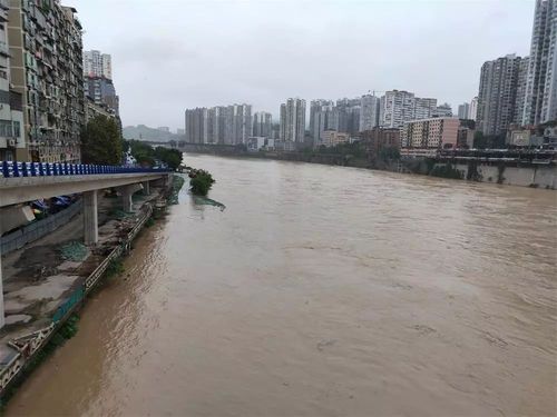 四川遂宁涨水了吗？遂宁的天气情况