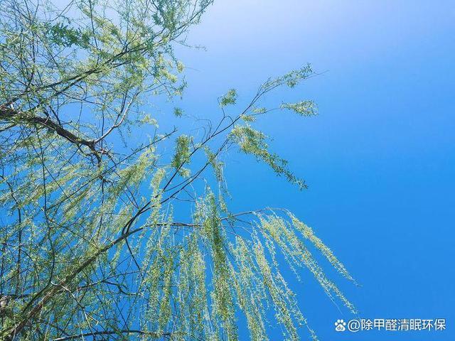 春天的天气有什么特点?春日的天气情况-图3 春天的天气有什么特点?春日的天气情况-图3