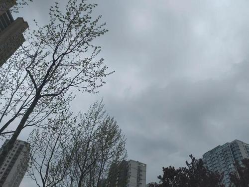 春天的天气有什么特点？春日的天气情况