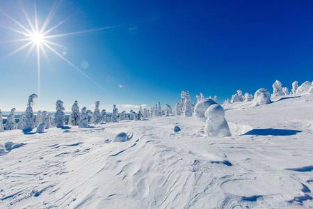 芬兰一年四季都有雪吗?芬兰冬季天气情况-图3 芬兰一年四季都有雪吗?芬兰冬季天气情况-图3