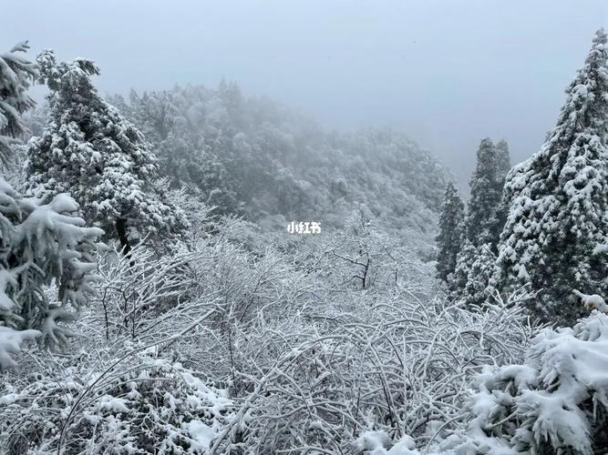 庐山2024一月份有雪吗?庐山往年天气情况-图2 庐山2024一月份有雪吗?庐山往年天气情况-图2