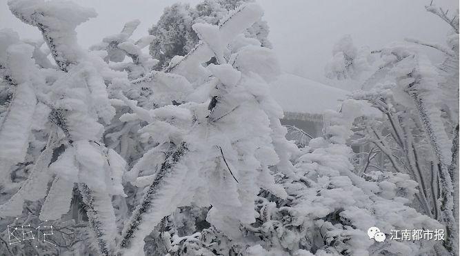 庐山2024一月份有雪吗?庐山往年天气情况-图3 庐山2024一月份有雪吗?庐山往年天气情况-图3