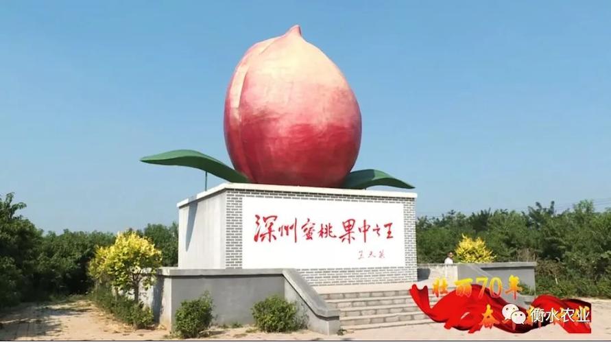 深州蜜桃什么时候采摘?明天深州天气情况-图2 深州蜜桃什么时候采摘?明天深州天气情况-图2