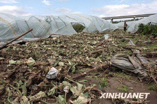 黑龙江冰雹农业受灾了吗?海林今晚天气情况-图2 黑龙江冰雹农业受灾了吗?海林今晚天气情况-图2