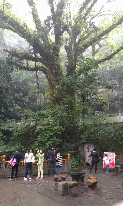 到桂平旅游有什么好的攻略?桂平几日天气情况-图3 到桂平旅游有什么好的攻略?桂平几日天气情况-图3