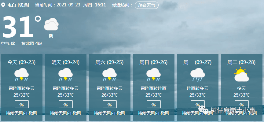 电白是一个什么地方？电白区天气情况