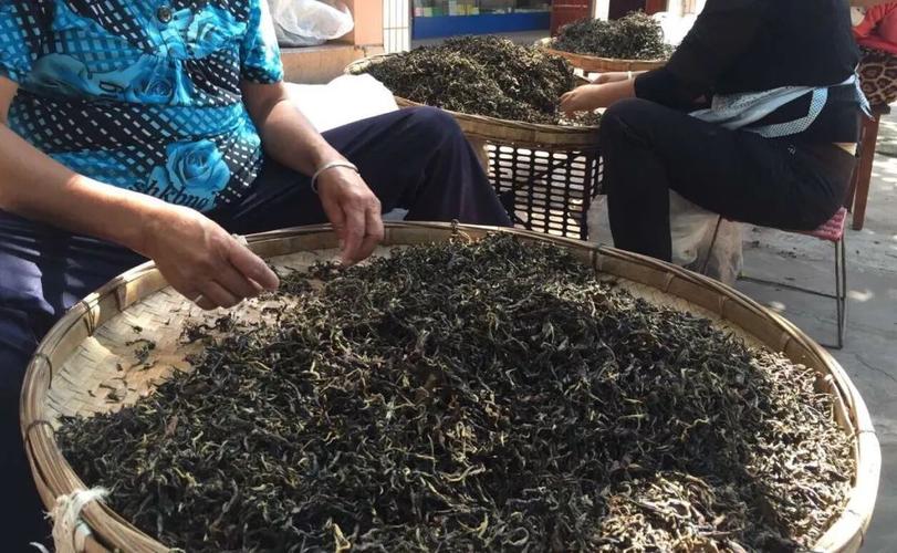 从普洱买的普洱茶，因为正在旅游，一直放在车上天气很热，会不会变质？普洱历年天气情况
