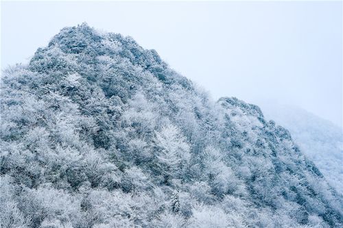 华蓥石林下雪了吗？华蓥历史天气情况