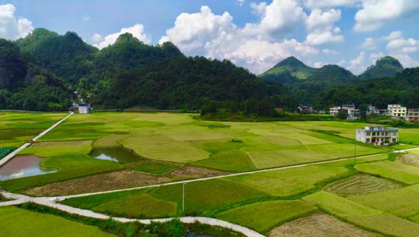 荔波县属于贵州哪个市？茂兰天气情况