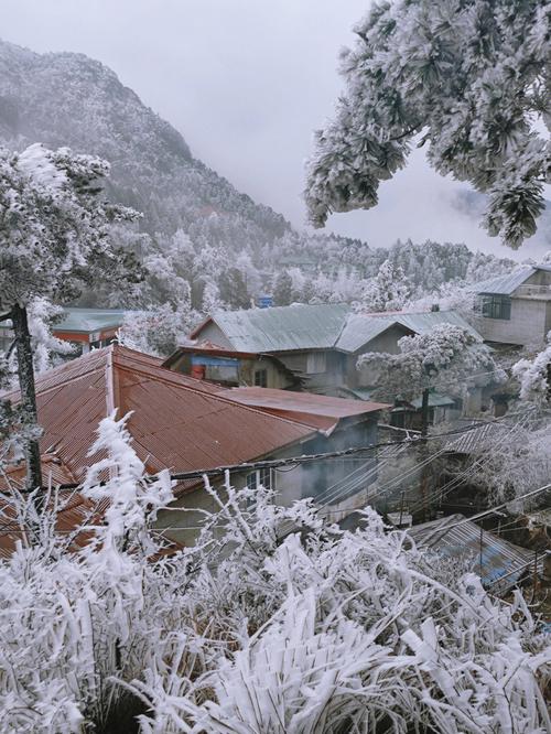 庐山多少度会下雪?庐山的天气情况-图3 庐山多少度会下雪?庐山的天气情况-图3