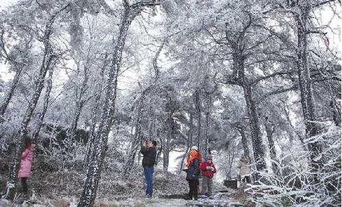 莫干山12月下雪吗？莫干山的天气情况