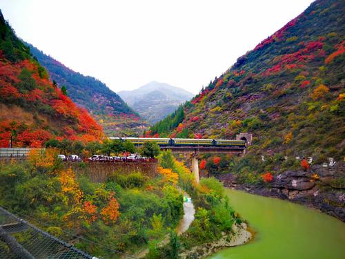 凤县出发甘南自驾游最佳路线?213宝鸡天气情况-图3 凤县出发甘南自驾游最佳路线?213宝鸡天气情况-图3