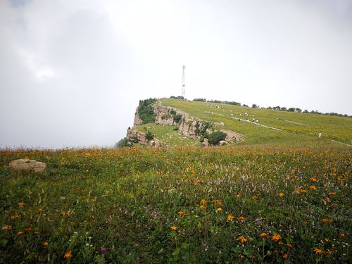 历山舜王坪下雨能去吗？洪洞历山天气情况