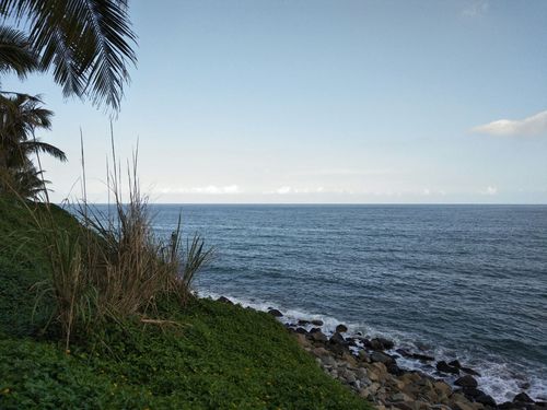 东山有椰树吗?东山的天气情况-图3 东山有椰树吗?东山的天气情况-图3