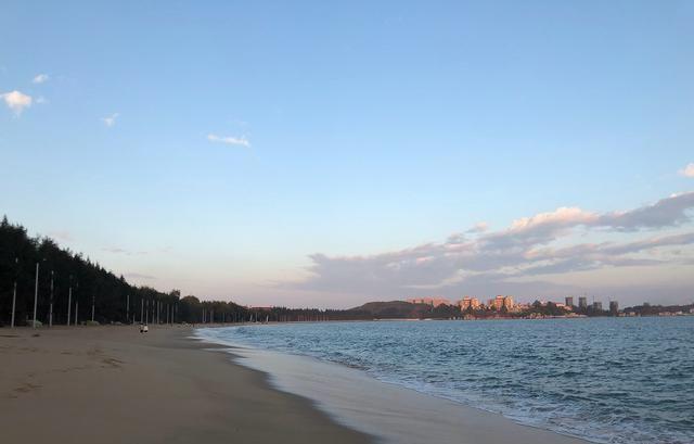 东山有椰树吗?东山的天气情况-图1 东山有椰树吗?东山的天气情况-图1