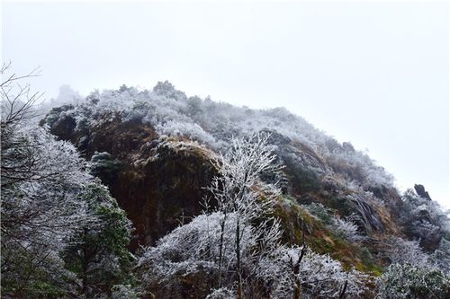 为什么山越高天气越冷？最近山天气情况