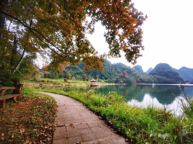 德保枫叶什么时候红？德保历史天气情况