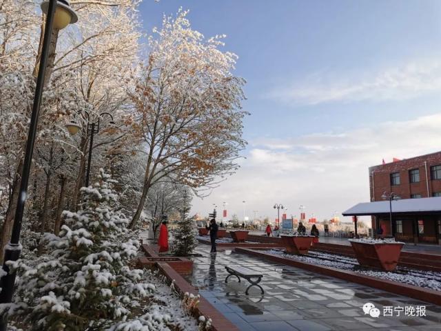 宁夏哪个地区下雪了?盐池最近天气情况-图2 宁夏哪个地区下雪了?盐池最近天气情况-图2