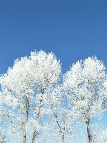 黑龙江省拜泉县是属于哪个市?拜泉近期天气情况-图3 黑龙江省拜泉县是属于哪个市?拜泉近期天气情况-图3