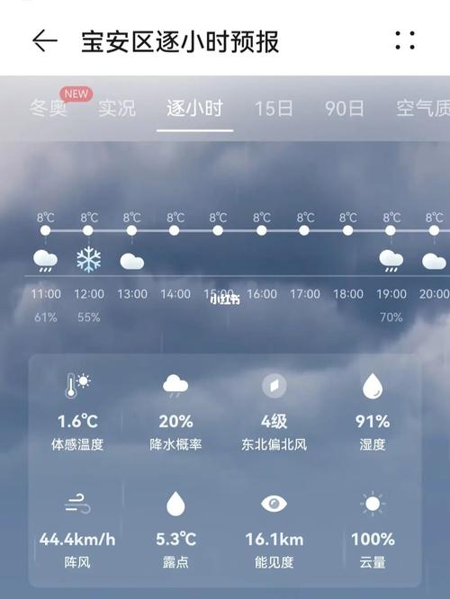 深圳突然下雪了怎么回事?深圳天气10号天气情况-图3 深圳突然下雪了怎么回事?深圳天气10号天气情况-图3