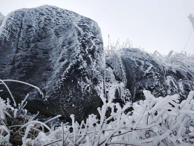 东白山下雪了吗？诸暨17号天气情况