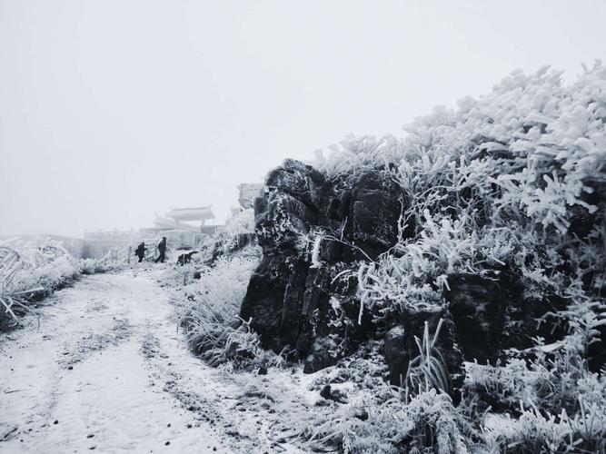 东白山下雪了吗?诸暨17号天气情况-图2 东白山下雪了吗?诸暨17号天气情况-图2