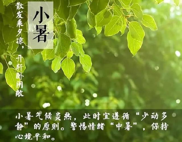 小暑有哪些变化?小暑节气的天气情况-图3 小暑有哪些变化?小暑节气的天气情况-图3