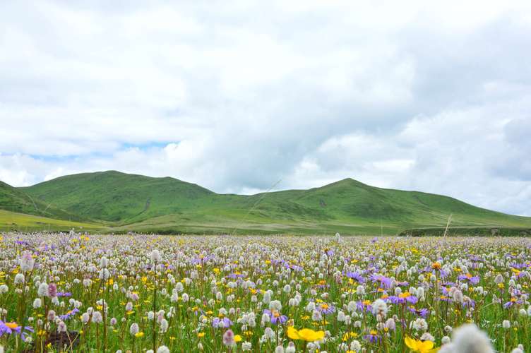 俄么塘花海景区海拔多少米？俄么塘天气情况