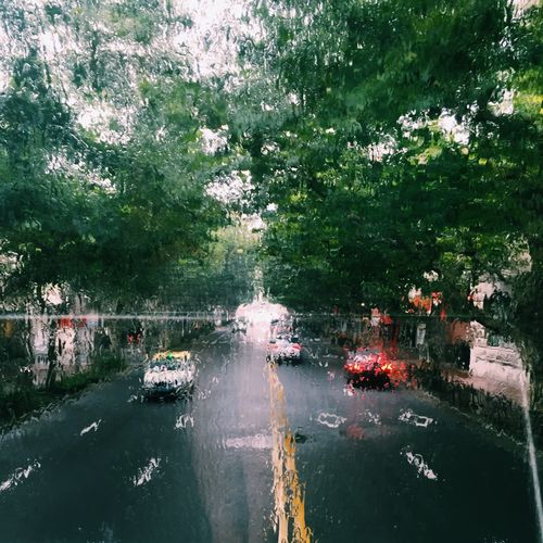 上海下雨天适合拍照的地方?浦江29号天气情况-图3 上海下雨天适合拍照的地方?浦江29号天气情况-图3