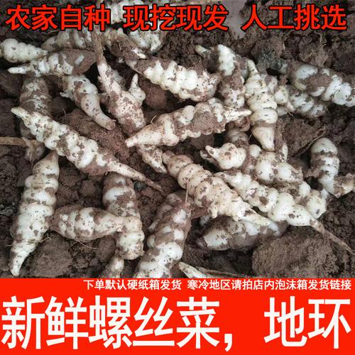 玉环菜是怎样生长的？玉环这周天气情况