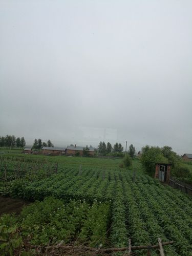 黑龙江哪个城市适宜居住，水土好啊，县级市也算上？逊克县天气情况