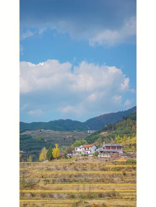 临安指南村7月份气温怎么样?临安指南村天气情况-图2 临安指南村7月份气温怎么样?临安指南村天气情况-图2