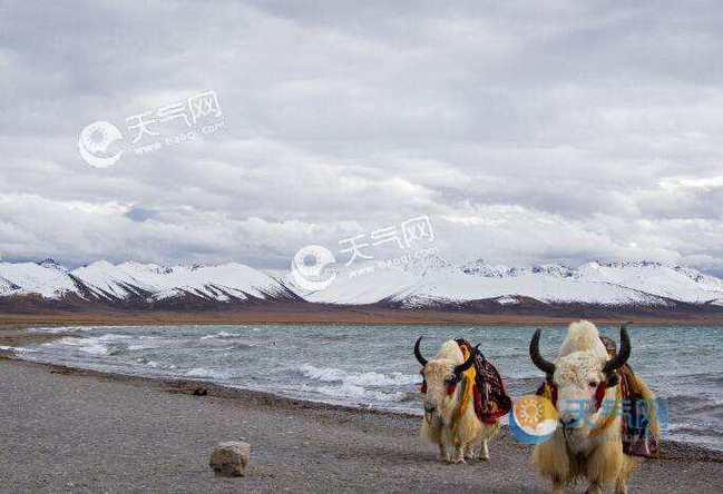 林芝市区海拔?这几天林芝天气情况-图3 林芝市区海拔?这几天林芝天气情况-图3