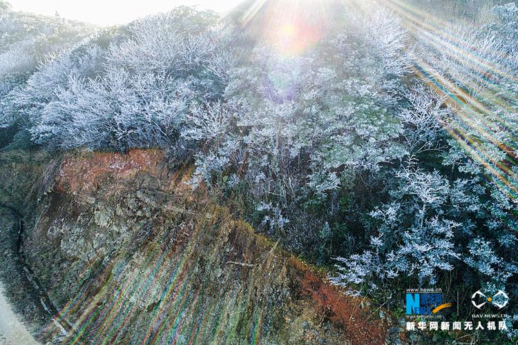 河源附近的哪里下雪了?河源23号天气情况-图1 河源附近的哪里下雪了?河源23号天气情况-图1
