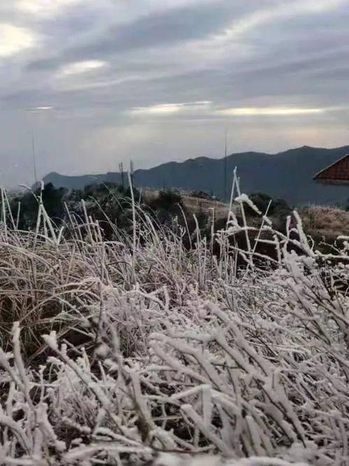 河源附近的哪里下雪了?河源23号天气情况-图3 河源附近的哪里下雪了?河源23号天气情况-图3