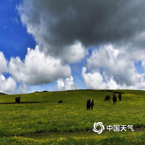 红原县有什么好吃的？红原近半月天气情况