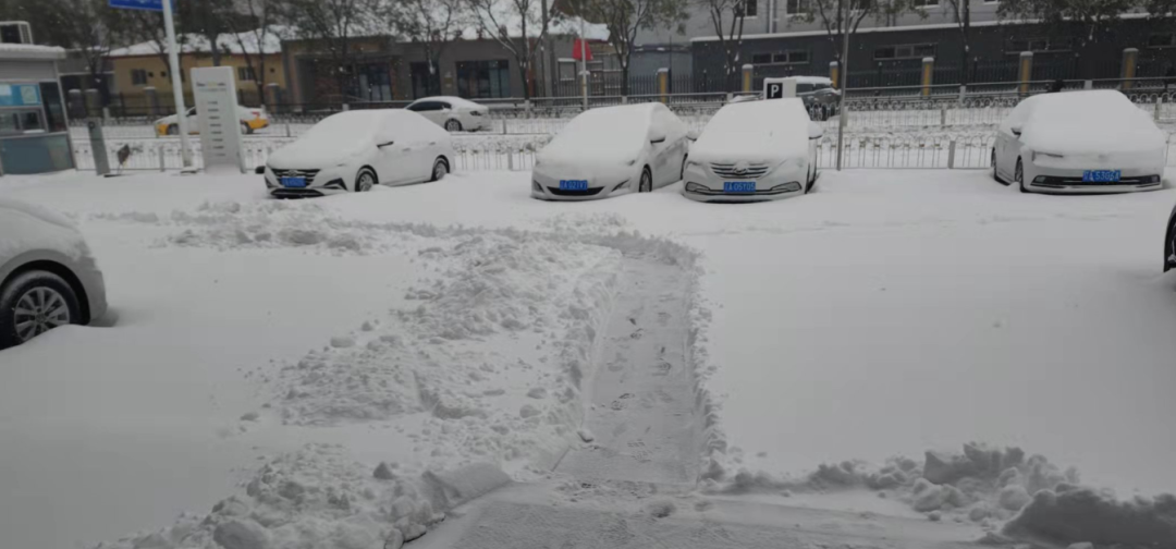 沈阳雪有多大?沈阳12号天气情况-图1 沈阳雪有多大?沈阳12号天气情况-图1