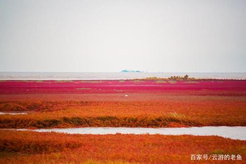 盘锦红海滩8月份值得去吗?13号盘锦天气情况-图2 盘锦红海滩8月份值得去吗?13号盘锦天气情况-图2