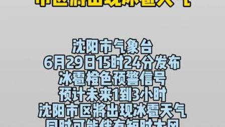 沈阳天气未来三天有冰雹吗?明天沈阳的天气情况-图2 沈阳天气未来三天有冰雹吗?明天沈阳的天气情况-图2