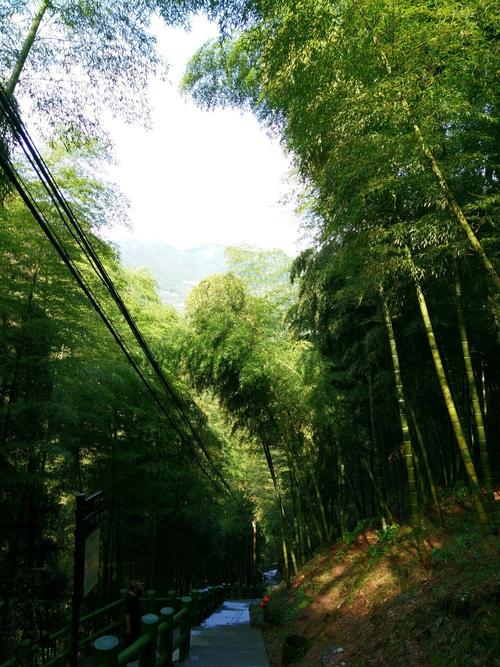 安吉县哪里好玩的景点?安吉章村镇天气情况-图3 安吉县哪里好玩的景点?安吉章村镇天气情况-图3