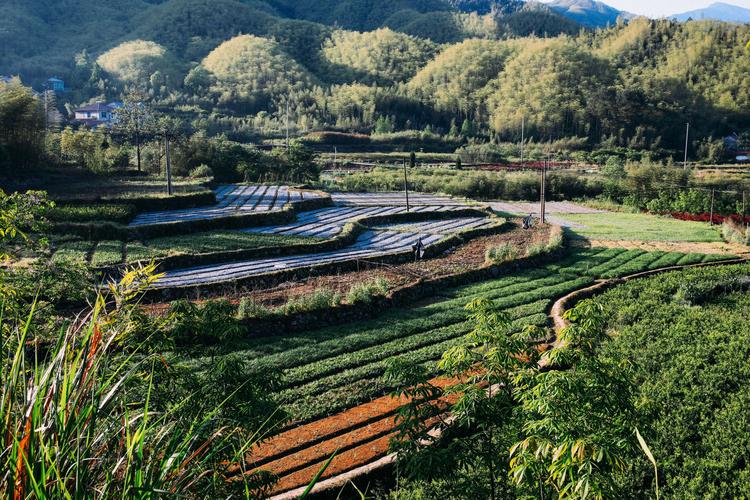 安吉县哪里好玩的景点?安吉章村镇天气情况-图2 安吉县哪里好玩的景点?安吉章村镇天气情况-图2