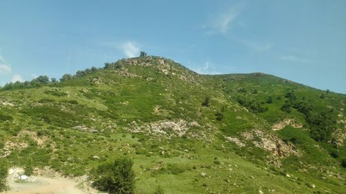 大青山上午去还是下午去？牛头山天气情况