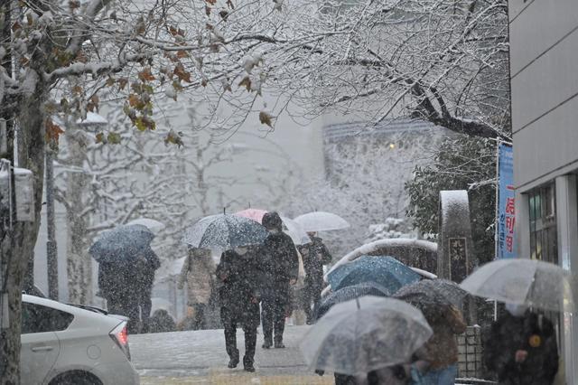 2020年日本2月份降雪情况?日本近期的天气情况-图3 2020年日本2月份降雪情况?日本近期的天气情况-图3