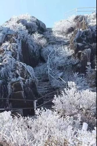 江门市冬天下雪吗,冷吗?江门冬天天气情况-图3 江门市冬天下雪吗,冷吗?江门冬天天气情况-图3