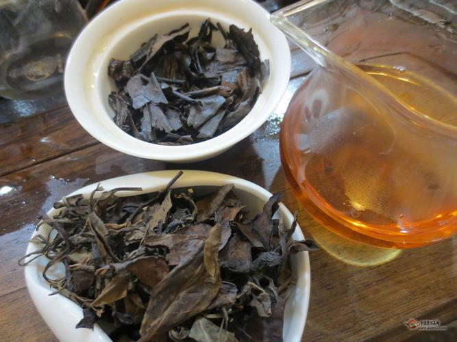 宁德白茶和福鼎白茶区别？3月宁德天气情况